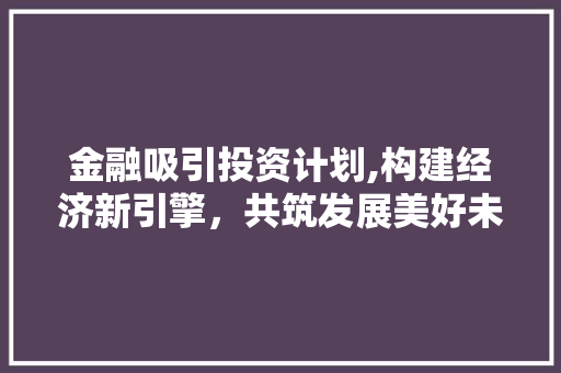 金融吸引投资计划,构建经济新引擎，共筑发展美好未来