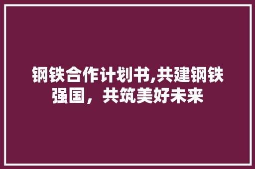 钢铁合作计划书,共建钢铁强国，共筑美好未来