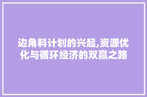 边角料计划的兴起,资源优化与循环经济的双赢之路
