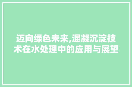 迈向绿色未来,混凝沉淀技术在水处理中的应用与展望