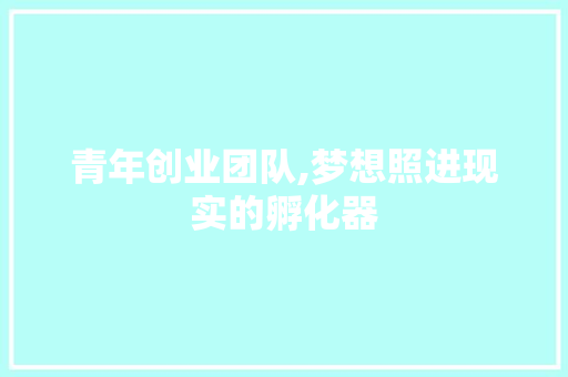 青年创业团队,梦想照进现实的孵化器