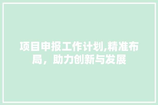 项目申报工作计划,精准布局，助力创新与发展