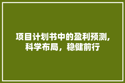 项目计划书中的盈利预测,科学布局，稳健前行