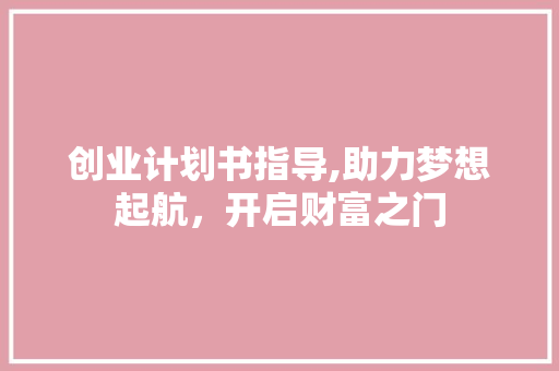 创业计划书指导,助力梦想起航，开启财富之门