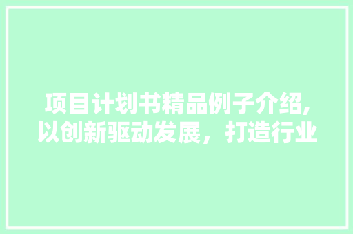 项目计划书精品例子介绍,以创新驱动发展，打造行业标杆