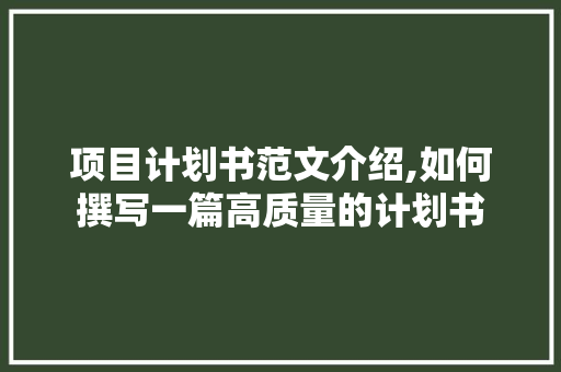项目计划书范文介绍,如何撰写一篇高质量的计划书 近义词汇