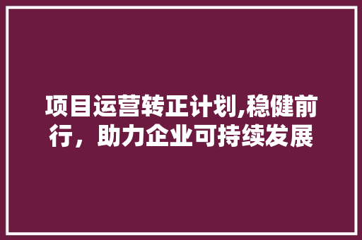 项目运营转正计划,稳健前行，助力企业可持续发展