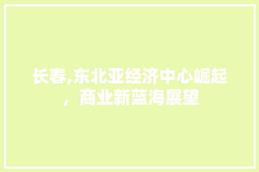 长春,东北亚经济中心崛起，商业新蓝海展望