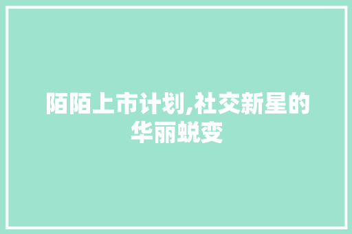 陌陌上市计划,社交新星的华丽蜕变