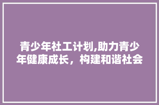 青少年社工计划,助力青少年健康成长，构建和谐社会