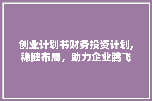 创业计划书财务投资计划,稳健布局，助力企业腾飞