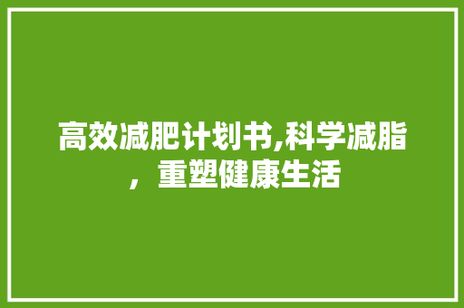 高效减肥计划书,科学减脂，重塑健康生活