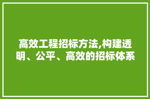 高效工程招标方法,构建透明、公平、高效的招标体系 成语汇编