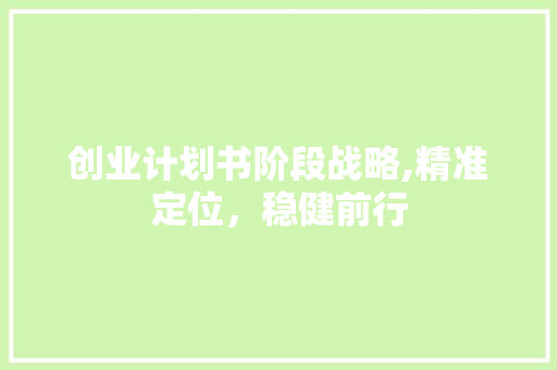 创业计划书阶段战略,精准定位，稳健前行