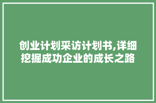 创业计划采访计划书,详细挖掘成功企业的成长之路