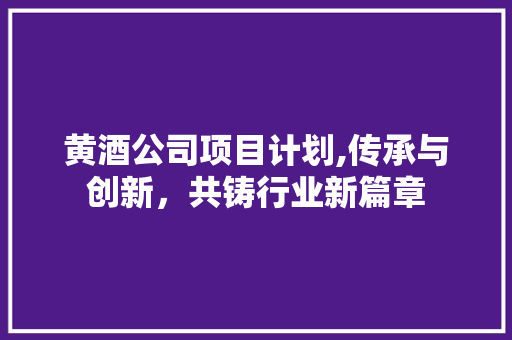 黄酒公司项目计划,传承与创新，共铸行业新篇章 汉字拼音