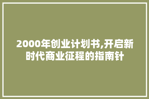 2000年创业计划书,开启新时代商业征程的指南针