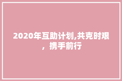 2020年互助计划,共克时艰，携手前行