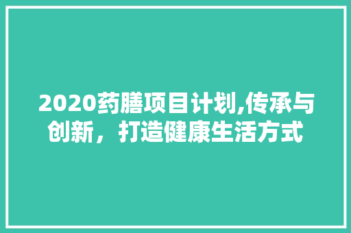 2020药膳项目计划,传承与创新，打造健康生活方式 汉字拼音