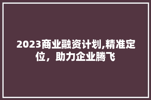 2023商业融资计划,精准定位，助力企业腾飞