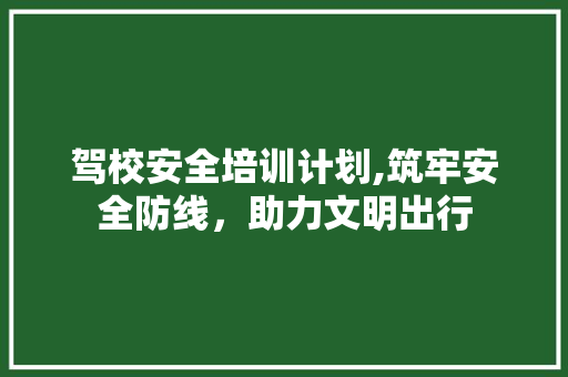 驾校安全培训计划,筑牢安全防线，助力文明出行
