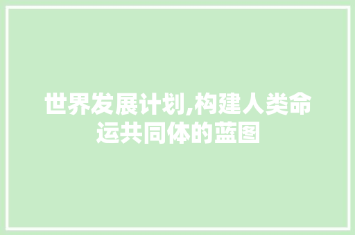 世界发展计划,构建人类命运共同体的蓝图