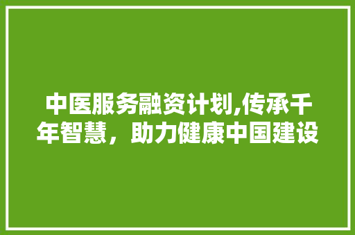 中医服务融资计划,传承千年智慧，助力健康中国建设