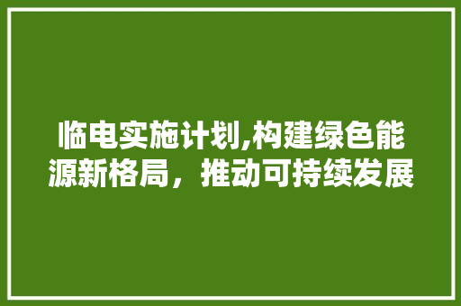 临电实施计划,构建绿色能源新格局，推动可持续发展