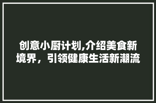 创意小厨计划,介绍美食新境界，引领健康生活新潮流