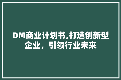 DM商业计划书,打造创新型企业，引领行业未来