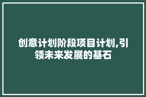 创意计划阶段项目计划,引领未来发展的基石
