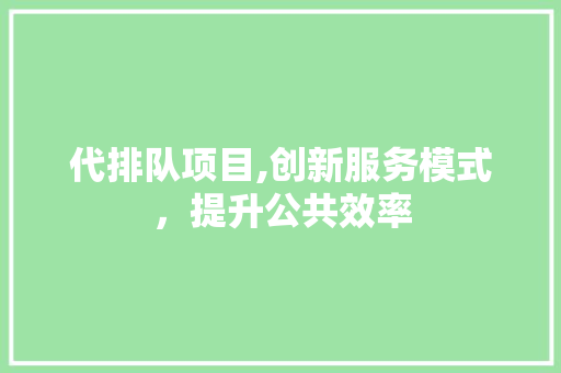 代排队项目,创新服务模式，提升公共效率