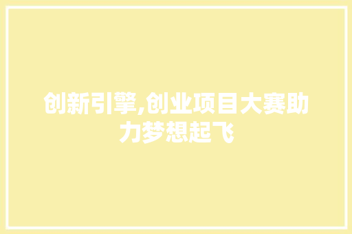 创新引擎,创业项目大赛助力梦想起飞