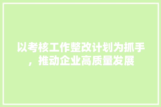 以考核工作整改计划为抓手，推动企业高质量发展