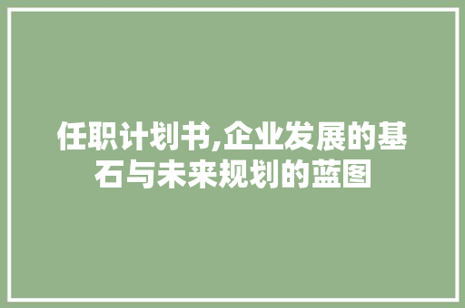 任职计划书,企业发展的基石与未来规划的蓝图