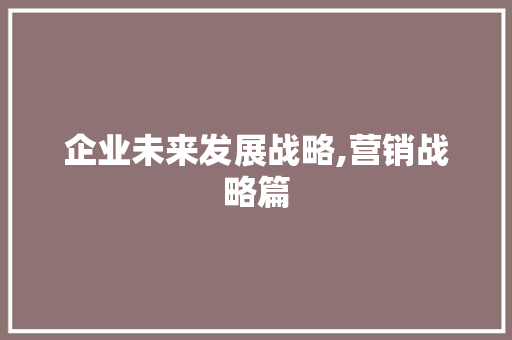 企业未来发展战略,营销战略篇
