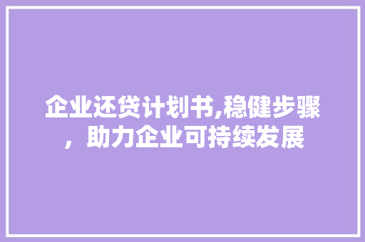 企业还贷计划书,稳健步骤，助力企业可持续发展