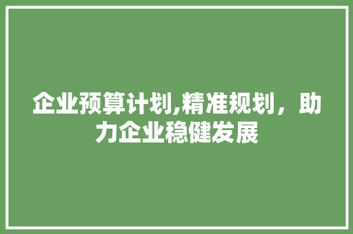 企业预算计划,精准规划，助力企业稳健发展