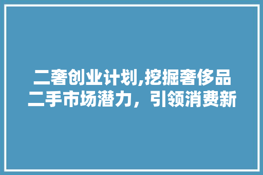二奢创业计划,挖掘奢侈品二手市场潜力，引领消费新风尚 短语