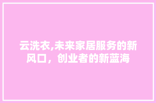 云洗衣,未来家居服务的新风口，创业者的新蓝海