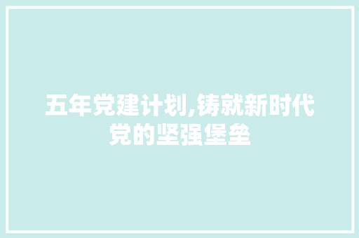 五年党建计划,铸就新时代党的坚强堡垒