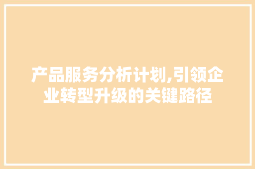 产品服务分析计划,引领企业转型升级的关键路径