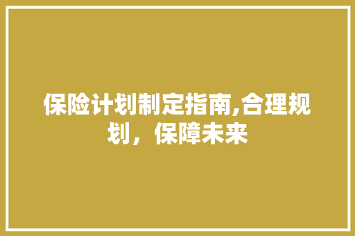 保险计划制定指南,合理规划，保障未来