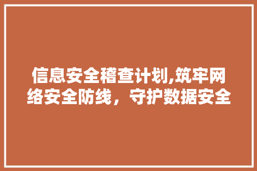 信息安全稽查计划,筑牢网络安全防线，守护数据安全