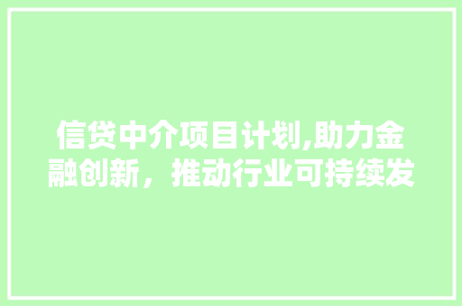 信贷中介项目计划,助力金融创新，推动行业可持续发展