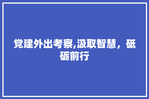 党建外出考察,汲取智慧，砥砺前行 古代典籍