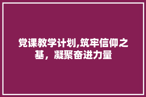 党课教学计划,筑牢信仰之基，凝聚奋进力量