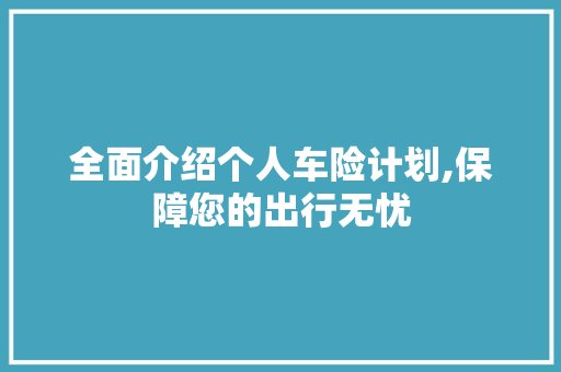 全面介绍个人车险计划,保障您的出行无忧