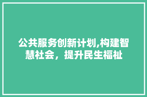 公共服务创新计划,构建智慧社会，提升民生福祉