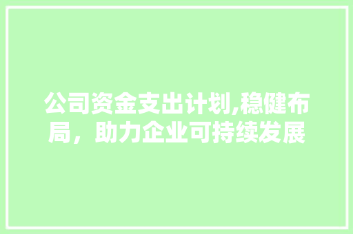 公司资金支出计划,稳健布局，助力企业可持续发展